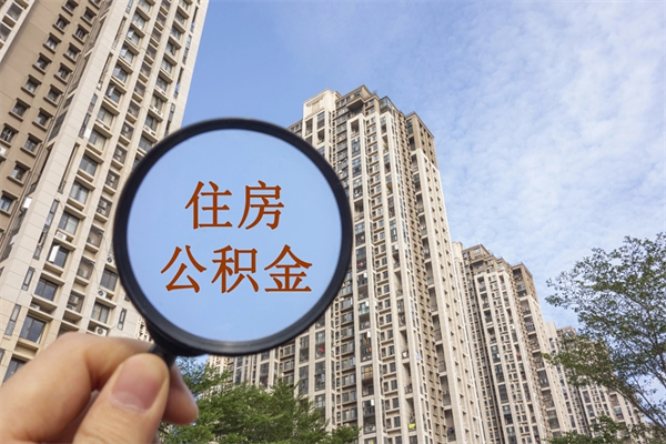 娄底公积金取（最新取住房公积金流程）